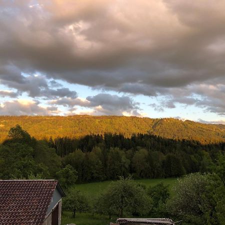 Ferienwohnung Samys Nahe Lindau Am Bodensee Зигмарсцел Екстериор снимка