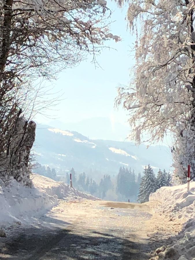 Ferienwohnung Samys Nahe Lindau Am Bodensee Зигмарсцел Екстериор снимка