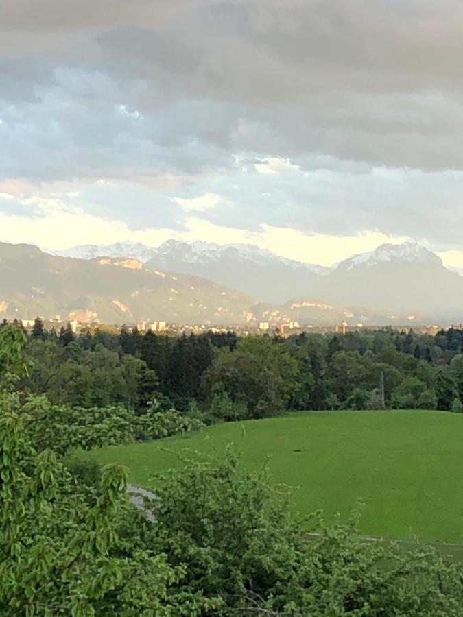 Ferienwohnung Samys Nahe Lindau Am Bodensee Зигмарсцел Екстериор снимка