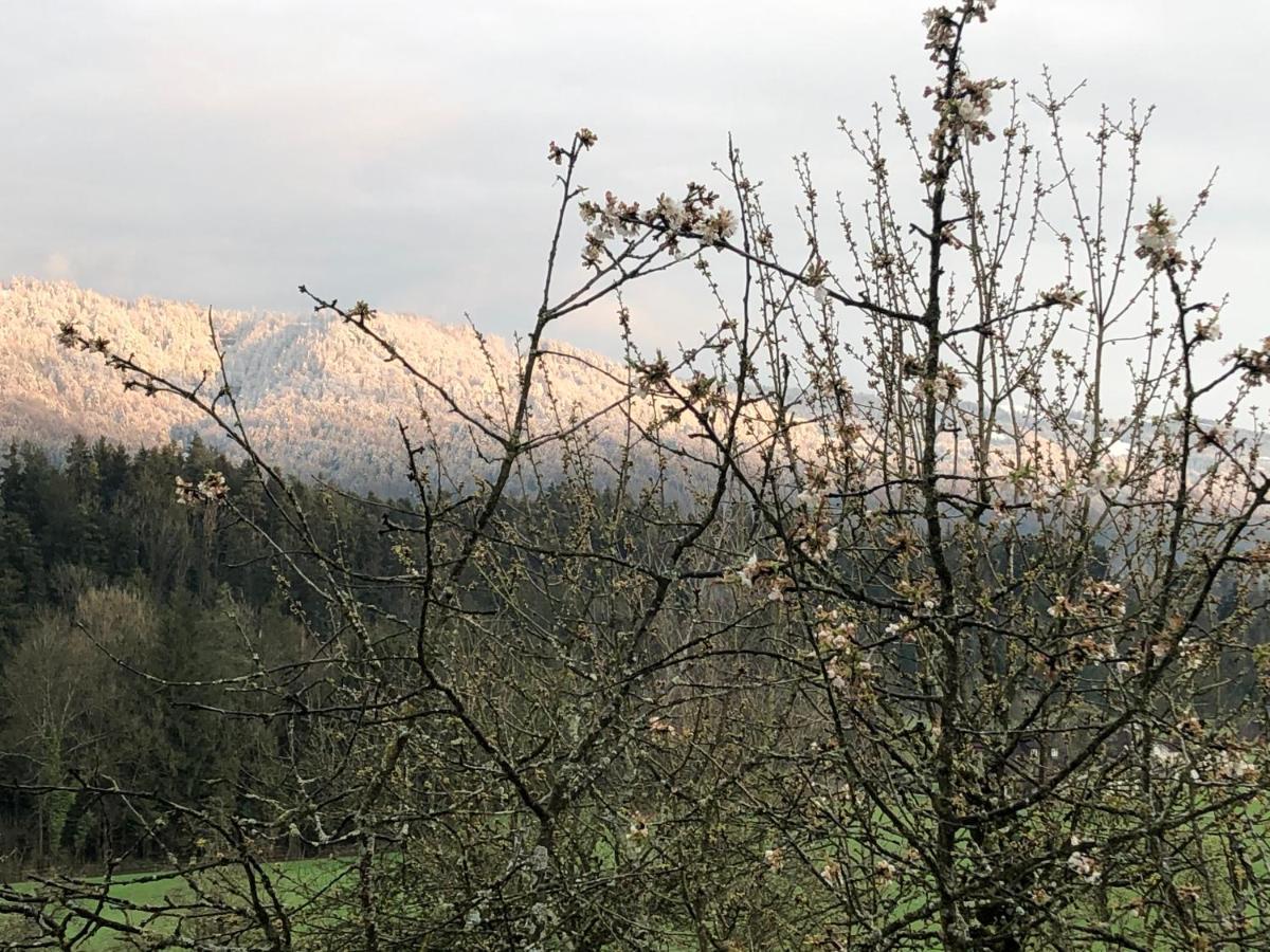 Ferienwohnung Samys Nahe Lindau Am Bodensee Зигмарсцел Екстериор снимка